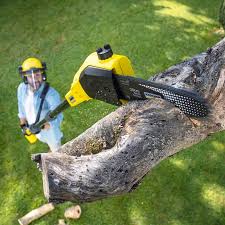 Best Lawn Mowing Services  in Cloverleaf, TX